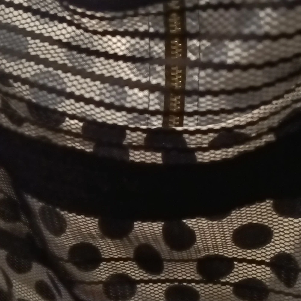 FINAL PRICE NWOT Jessica Simpson black/ white sheer polkadot dress w 20" zipper - Picture 7 of 16